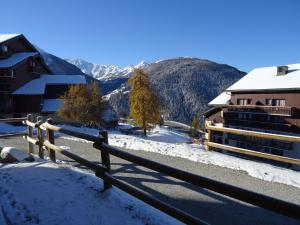 Appartements Studio cabine 4 pers a Vallandry, terrasses sud/ouest, proche pistes et commerces - FR-1-411-137 : photos des chambres