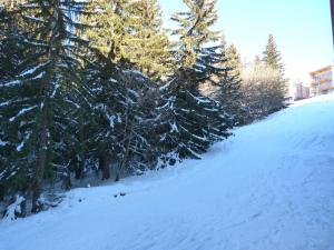 Duplex cosy pour 5 à Arc 1800, village de Charmettoger, skis aux pieds - FR-1-411-274