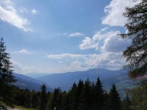 Appartement 2 pièces pour 5 personnes à Arc 1800, animaux admis - FR-1-411-320