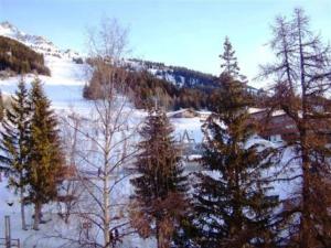Appartement de charme 2 pièces proche pistes, 4 personnes, Arc 1600 - FR-1-411-477
