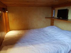 Appartement de charme 2 pièces proche pistes, 4 personnes, Arc 1600 - FR-1-411-477