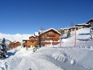 Confortable appartement 3 pièces, 8 pers, animaux admis, Vallandry - FR-1-411-342