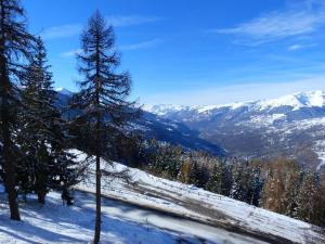 Appartement 2 pièces, balcon, animaux admis, Arc 1800 - FR-1-411-436