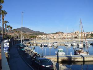 Appartements Appartement Banyuls-sur-Mer, 3 pieces, 6 personnes - FR-1-225C-6 : photos des chambres