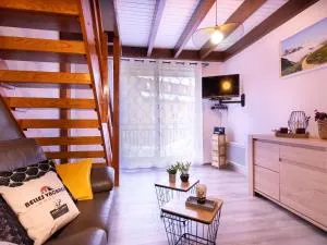 Duplex 6 pers, proche téléphérique, St-Lary village, 3 Diamants - FR-1-296-272 - 阿拉纽埃