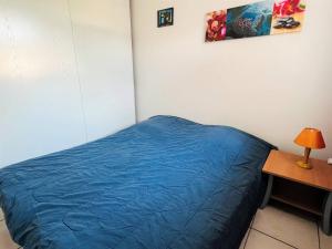 Appartement T1 bis à Cambo-les-Bains avec terrasse - FR-1-495-4