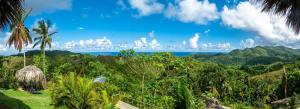 Tropical Cottage En Eco Casa Algana