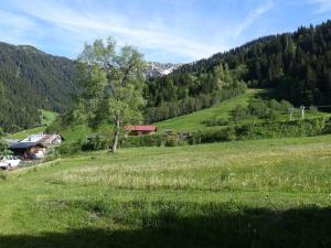 Appartement 46m², 2 étoiles, 6 pers, au pied des pistes, Planay, proche Arêches - FR-1-342-153