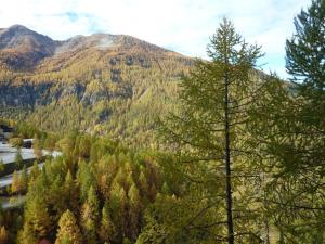 Charmant 2 pièces rénové, 6 pers, balcon, accès direct pistes, au cœur des Orres - FR-1-322-384
