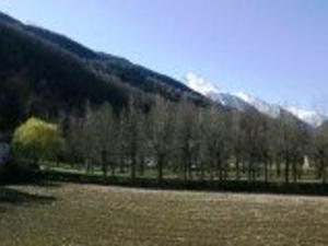 Appartements Duplex T2 cosy 6 pers, parking, centre St-Lary-Soulan - FR-1-457-147 : Appartement (6 Adultes)