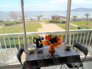 Appartement climatisé proche des Thermes à Balaruc-les-Bains - FR-1-503-57