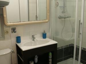 Appartement pied des pistes, 6 pers., Les Adrets-Prapoutel - FR-1-557-50