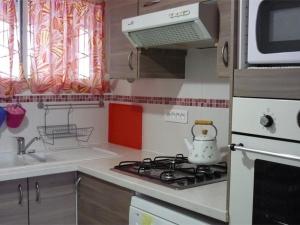 Appartement cosy 2 pièces cabine, proche commerces et pistes, 6 pers, animaux OK - FR-1-592-20