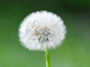 Appartement 3 pièces, confort et jardin, parking inclus - FR-1-580-23