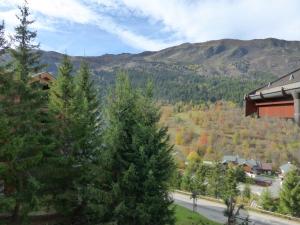 Appartement 2 pièces cabine pour 4 à Méribel avec parking couvert - FR-1-411-677