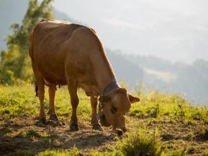 Appartement tranquille près des pistes, 6 pers, parking - FR-1-505-86