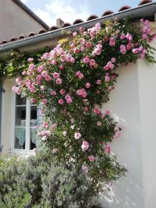 Maisons de vacances Le Cottage : Maison de Vacances