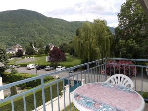 Appartements Appartement Bagneres-de-Luchon, 2 pieces, 4 personnes - FR-1-313-185 : photos des chambres