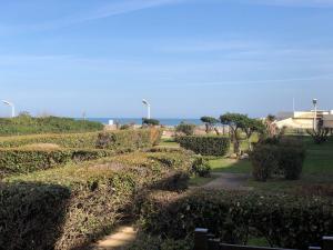 Appartement T2 Cabine 4 pers, terrasse, parking, plage proche - FR-1-81-529