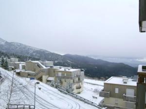 Studio cabine 4 pers pied des pistes, Les Adrets-Prapoutel - FR-1-557-39