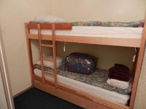 Studio cabine 4 pers. au pied des pistes avec balcon - FR-1-557A-38