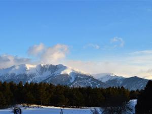 Studio Cabine Cosy Proche des Pistes - Sud-Ouest, Équipé pour 3 Pers., Animaux Acceptés - FR-1-592-25
