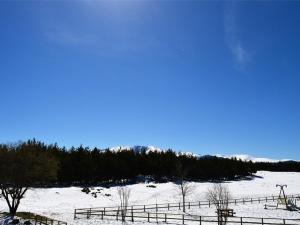 Studio Cabine Cosy Proche des Pistes - Sud-Ouest, Équipé pour 3 Pers., Animaux Acceptés - FR-1-592-25