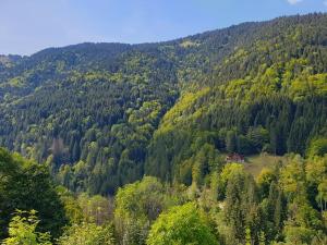 Studio avec accès piscine, Saint-Jean-dAulps - FR-1-573-44