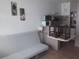 Appartements Studio Arette, 1 piece, 6 personnes - FR-1-602-40 : photos des chambres