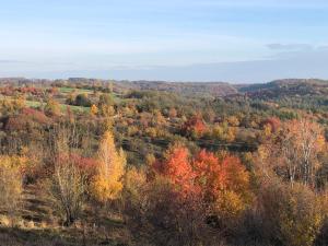 Козацька Фортеця