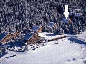 Studio 4 pers. à Méribel Altiport, pieds des pistes - FR-1-411-750