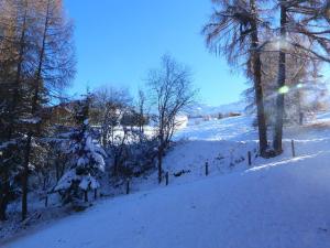 Duplex skis aux pieds, 2 pièces, 6 personnes, Arc 1800, animaux admis - FR-1-411-607