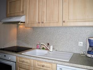 Appartement 2 pièces 6 pers, proche pistes, terrasse, animaux acceptés - FR-1-592-17