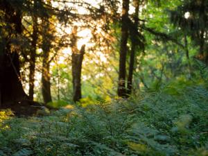 Appartement tranquille près des pistes, 6 pers, parking - FR-1-505-86