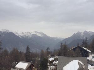 Studio coin montagne à Risoul 1850 - FR-1-330-541