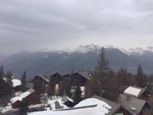 Studio coin montagne à Risoul 1850 - FR-1-330-541