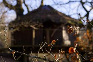 Maisons de vacances Les Cabanes de Brassac : photos des chambres