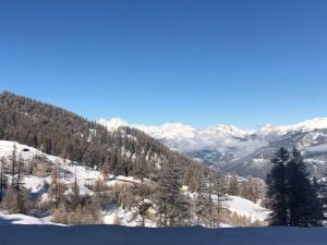 Appartements Studio calme pour 4 pers. a Risoul, proche pistes, animaux admis, parking gratuit - FR-1-330-512 : photos des chambres