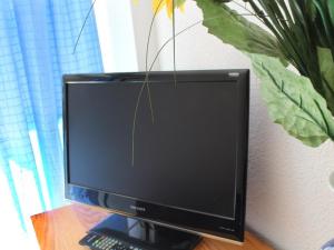 Appartement T2 avec piscine, 4 pers, Cap dAgde - FR-1-607-54