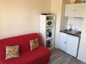 Appartements Studio cosy a Arette, proche pistes et commerces - FR-1-602-87 : photos des chambres