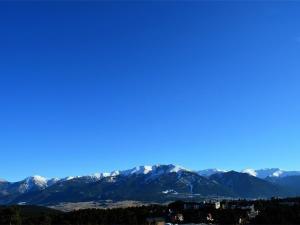 Appartements Studio Bolquere-Pyrenees 2000, 2 pieces, 6 personnes - FR-1-592-8 : photos des chambres