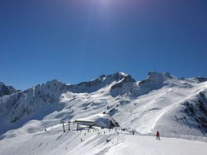 Appartements Appartement T2 confortable, 4 pers., garage, WIFI, Bareges, proche thermes et ski-bus - FR-1-403-97 : photos des chambres