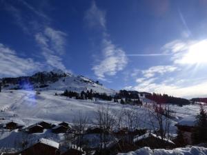 Appartements Studio Le Grand-Bornand, 1 piece, 4 personnes - FR-1-458-114 : photos des chambres