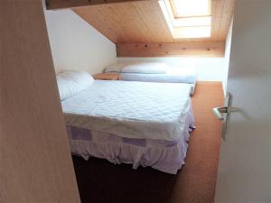 Grand appartement 3 pièces, proche des pistes, 8 couchages, accès piscine - FR-1-573-34