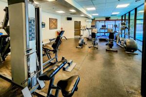 Mountain Village Lodge 269