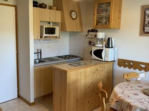 2 Pièces Pied des Pistes avec Parking, St-Jean-dAulps - FR-1-573-60