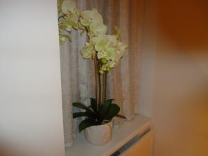 Romeo Family Apartments