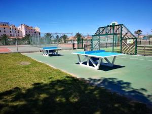 T2 4 pers Le Barcarès RDC Piscine Parking Animaux - FR-1-195-68