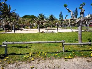 T2 4 pers Le Barcarès RDC Piscine Parking Animaux - FR-1-195-68