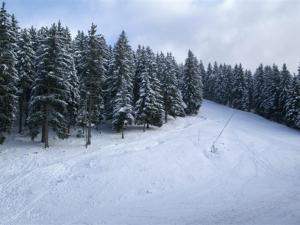 2 pièces au pied des pistes, balcon, parking gratuit, proche commerces et ESF - FR-1-557-24